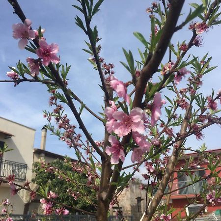 Il Giardino Di Nonno Agostino Bed and Breakfast Castellammare di Stabia Exterior foto