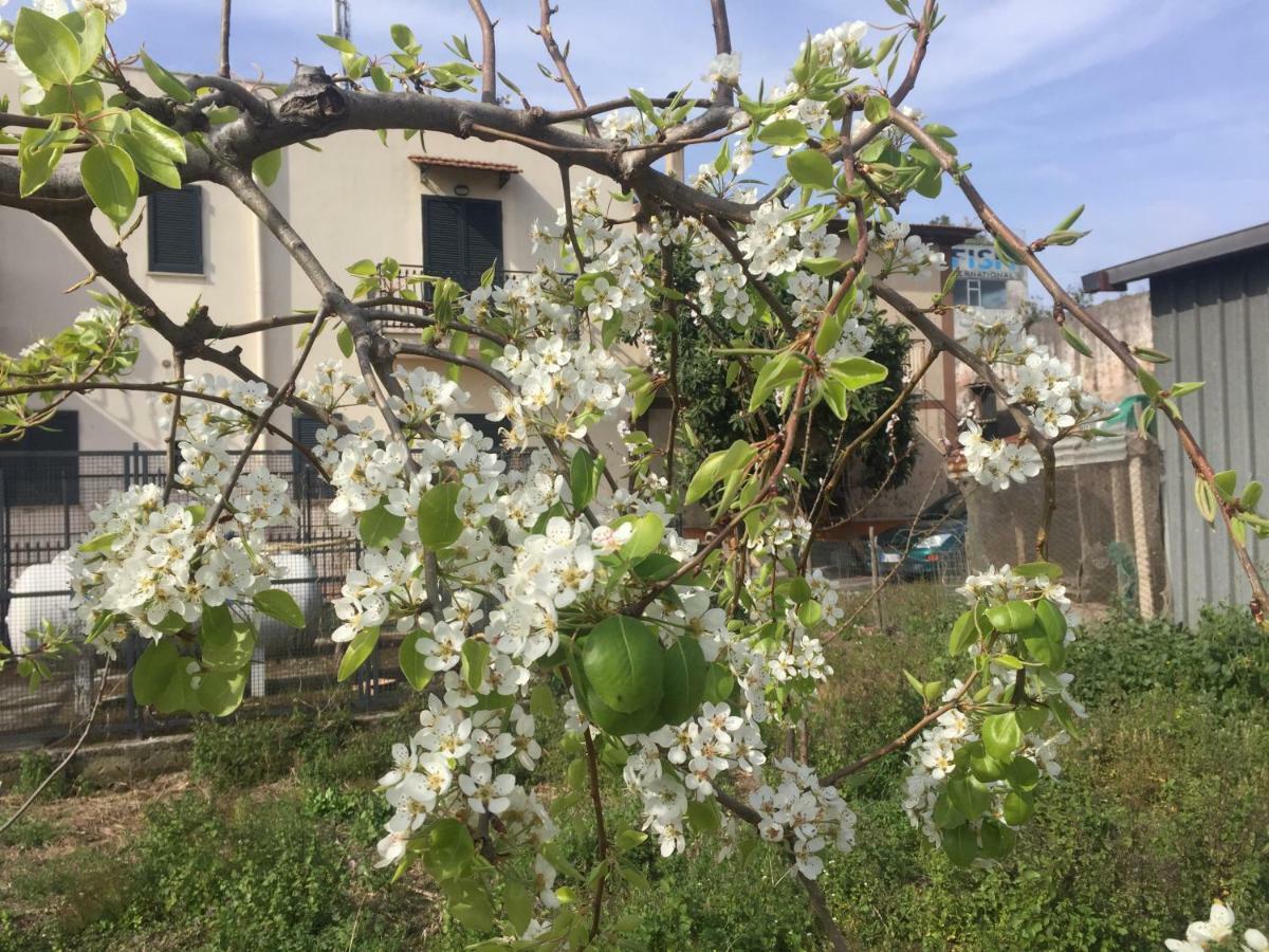 Il Giardino Di Nonno Agostino Bed and Breakfast Castellammare di Stabia Exterior foto