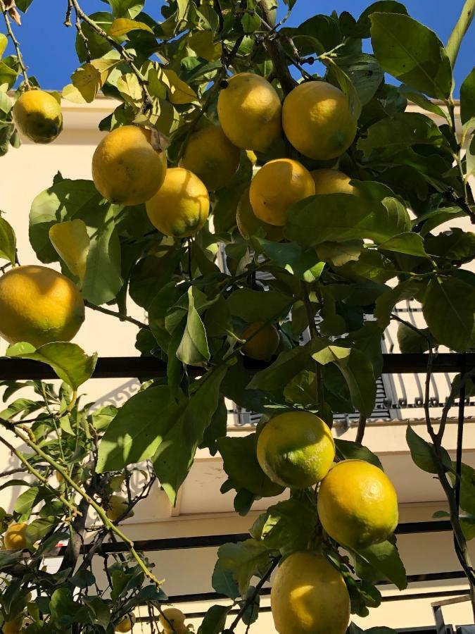 Il Giardino Di Nonno Agostino Bed and Breakfast Castellammare di Stabia Exterior foto