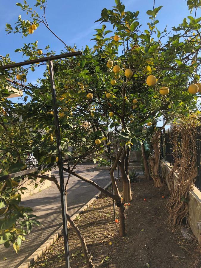 Il Giardino Di Nonno Agostino Bed and Breakfast Castellammare di Stabia Exterior foto